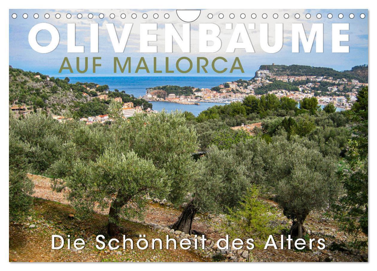 Cover: 9783383925115 | Olivenbäume auf Mallorca - Die Schönheit des Alters (Wandkalender...