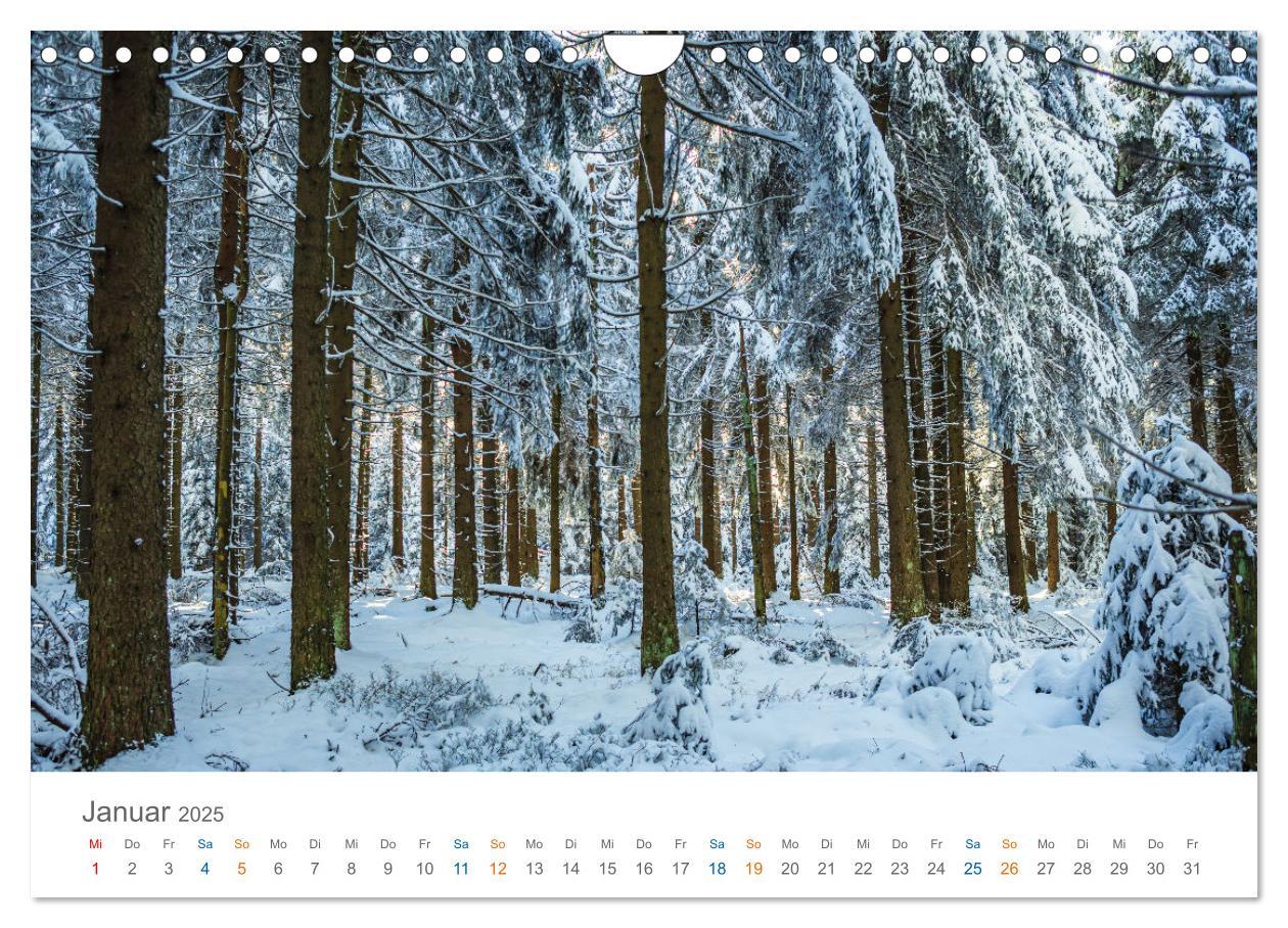 Bild: 9783457142318 | Rennsteig - Weitwanderweg (Wandkalender 2025 DIN A4 quer), CALVENDO...