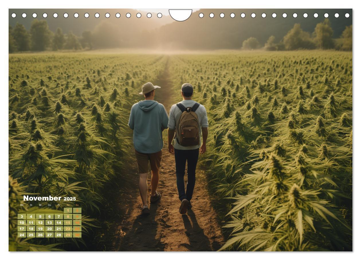 Bild: 9783383807060 | Wunderschöne Cannabisfelder (Wandkalender 2025 DIN A4 quer),...