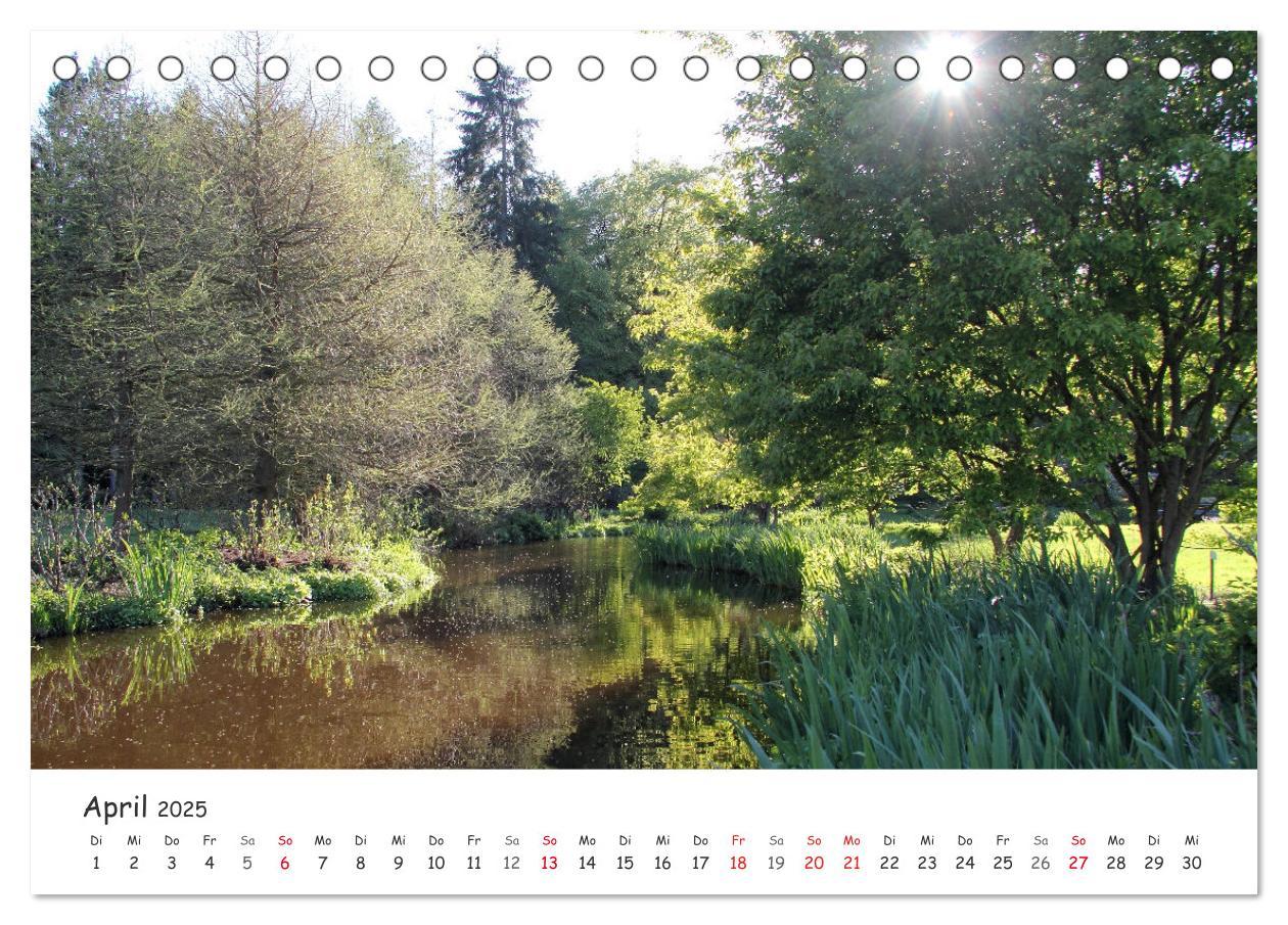 Bild: 9783435077489 | Zauberhaftes Ammerland (Tischkalender 2025 DIN A5 quer), CALVENDO...