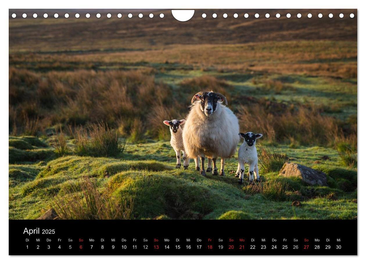 Bild: 9783435709748 | Schottland - Scotland - Alba (Wandkalender 2025 DIN A4 quer),...