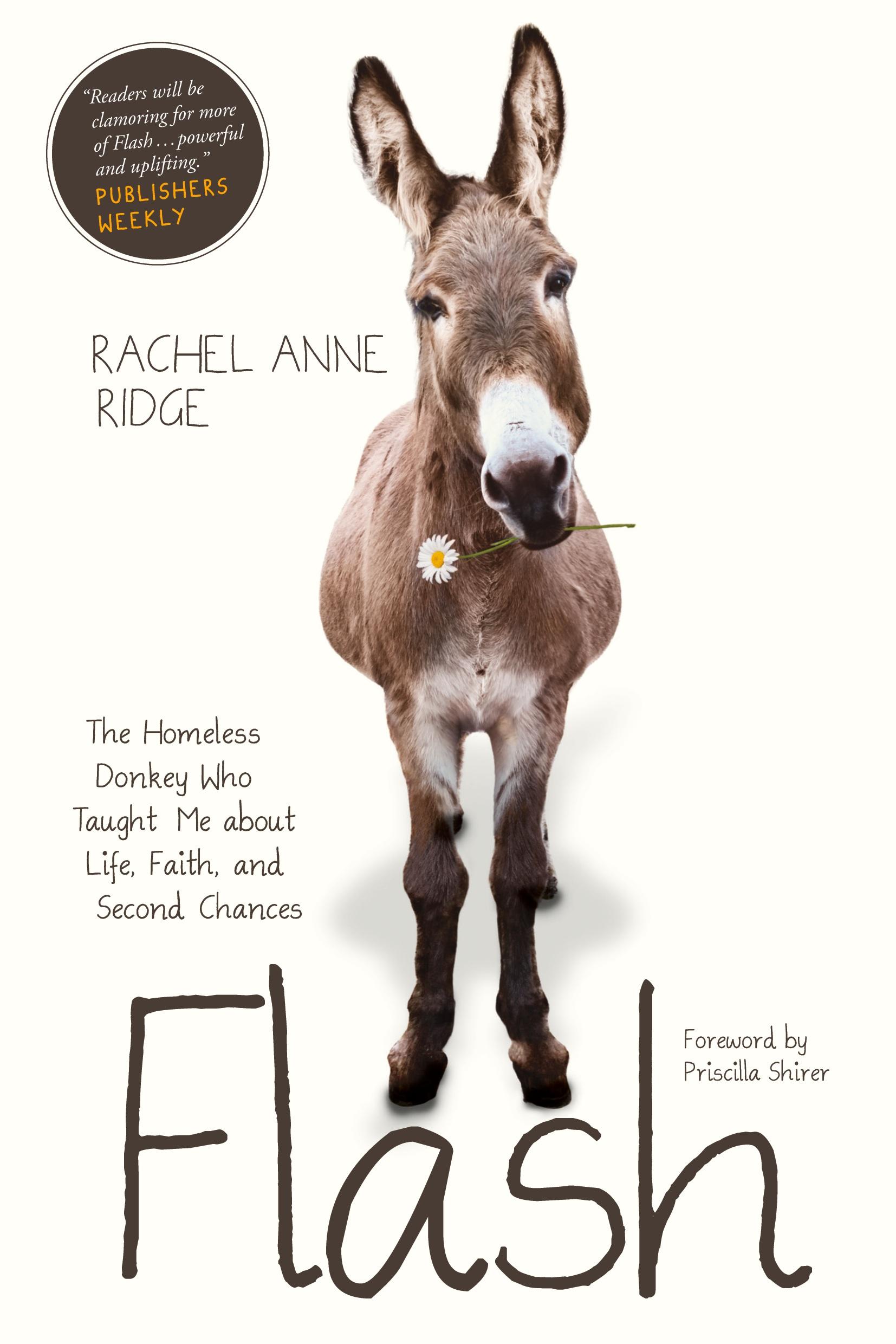 Cover: 9781414397849 | Flash | Rachel Anne Ridge | Taschenbuch | Englisch | 2016