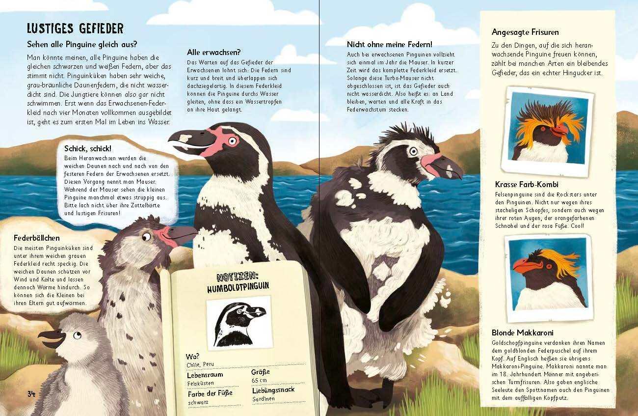 Bild: 9783328303282 | Was für Sachen Pinguine machen | Sachbilderbuch ab 6 Jahren | Jones