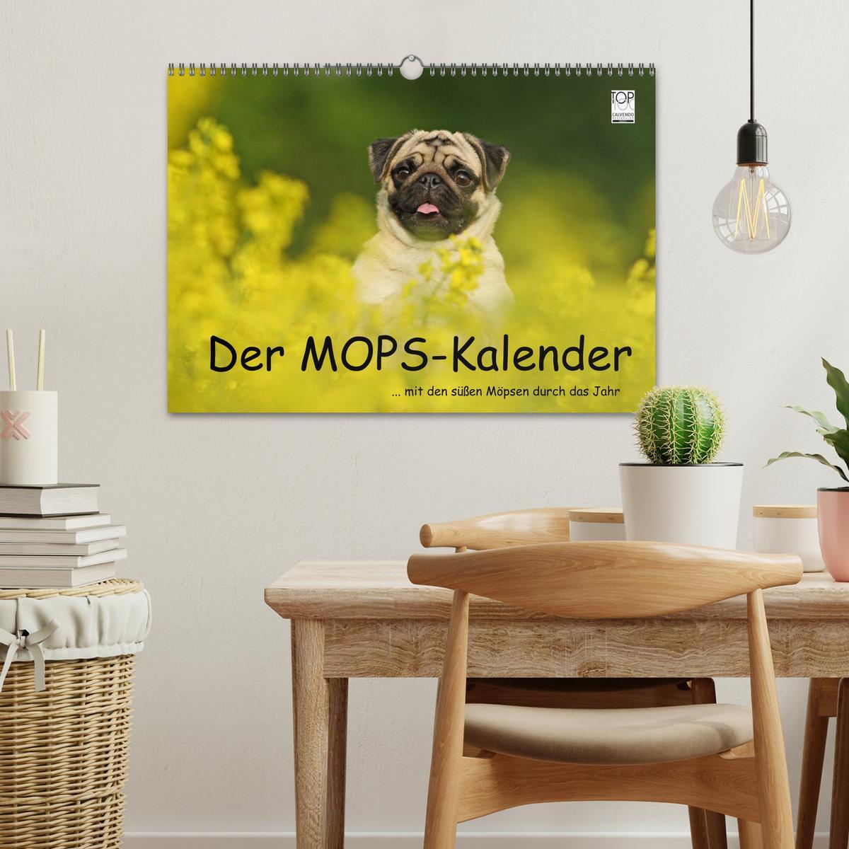 Bild: 9783435770557 | Der MOPS-Kalender (Wandkalender 2025 DIN A3 quer), CALVENDO...