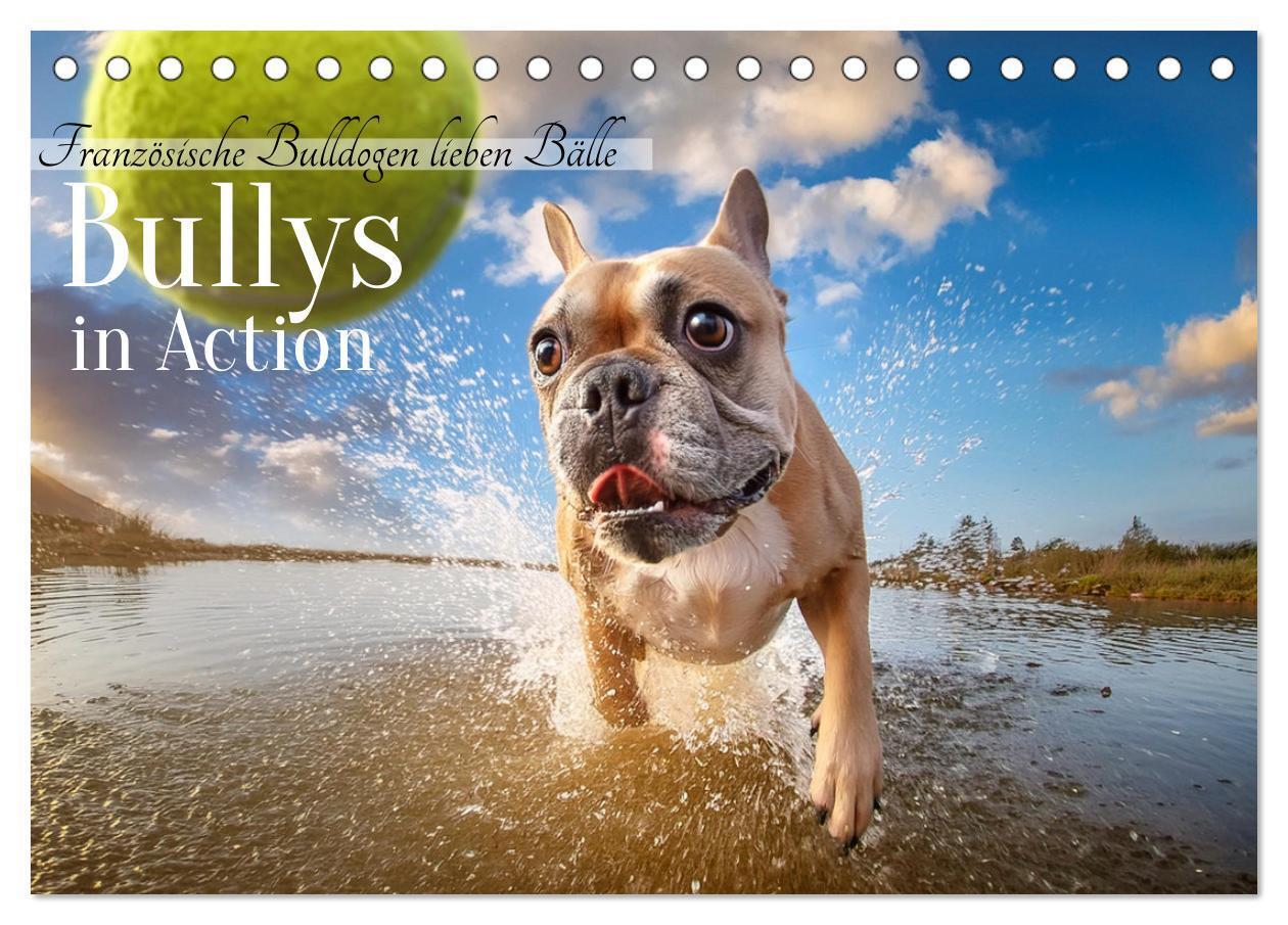 Cover: 9783383816765 | Bullys in Action - Französische Bulldoggen lieben Bälle...