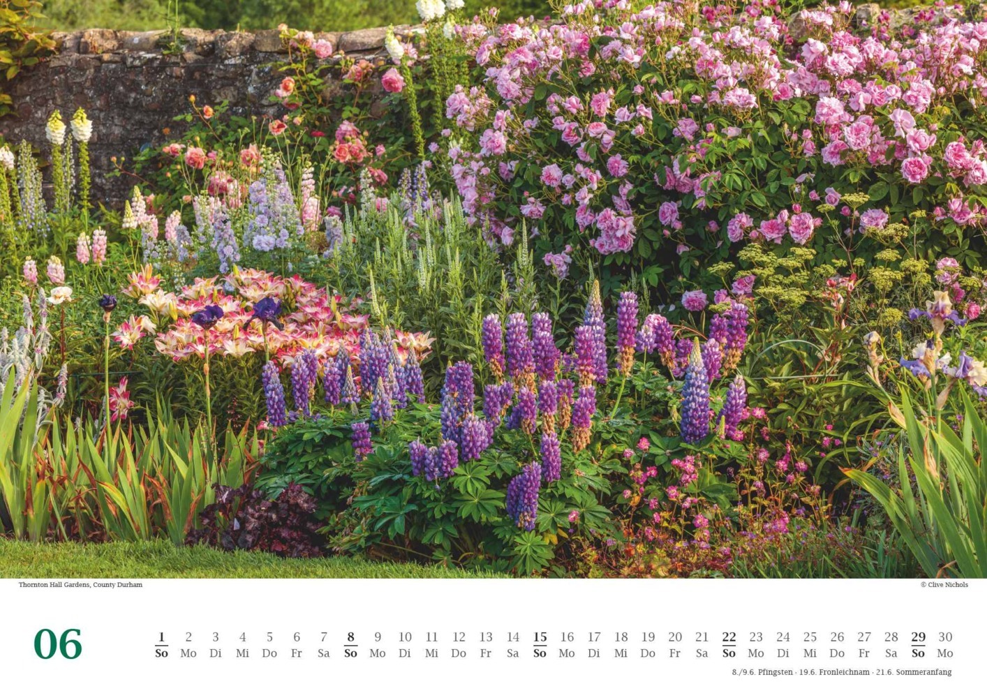 Bild: 4250809653617 | DUMONT - Traumhafte Gartenbeete 2025 Wandkalender, 42x29,7cm,...