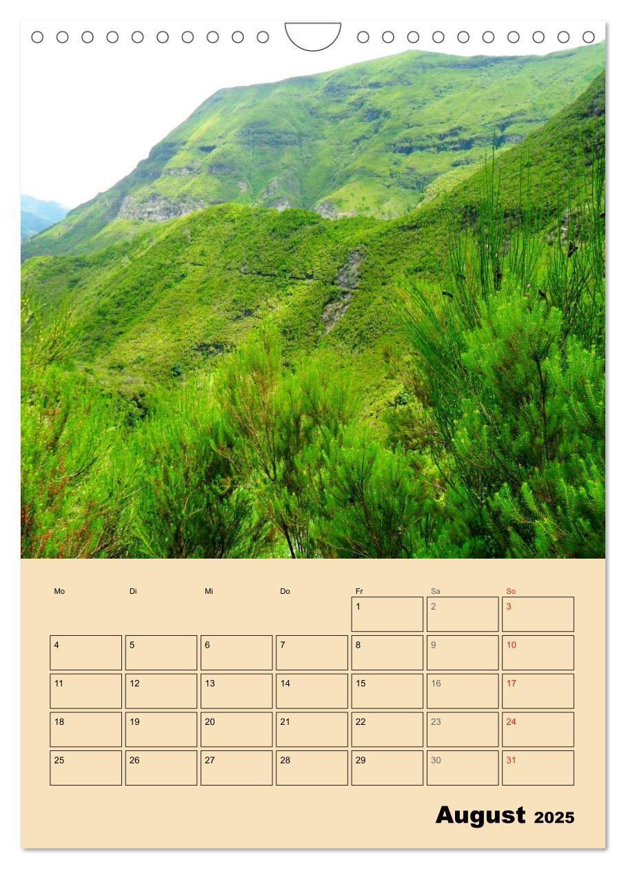 Bild: 9783457053263 | Abenteuer Madeira (Wandkalender 2025 DIN A4 hoch), CALVENDO...