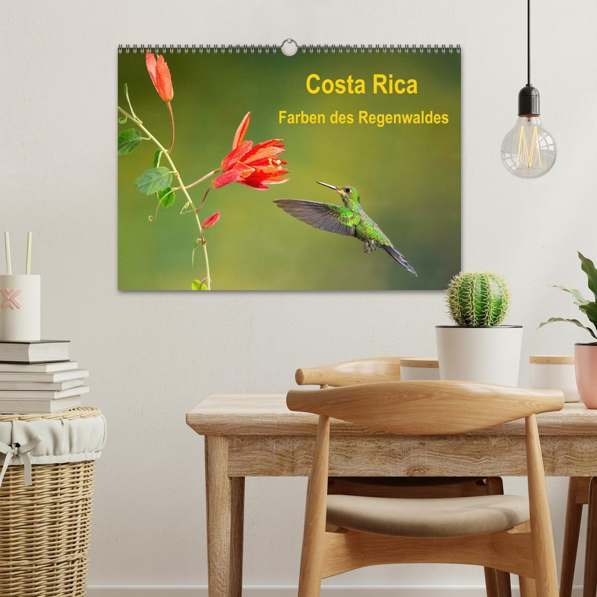 Bild: 9783435328819 | Costa Rica - Farben des Regenwaldes (Wandkalender 2025 DIN A3...