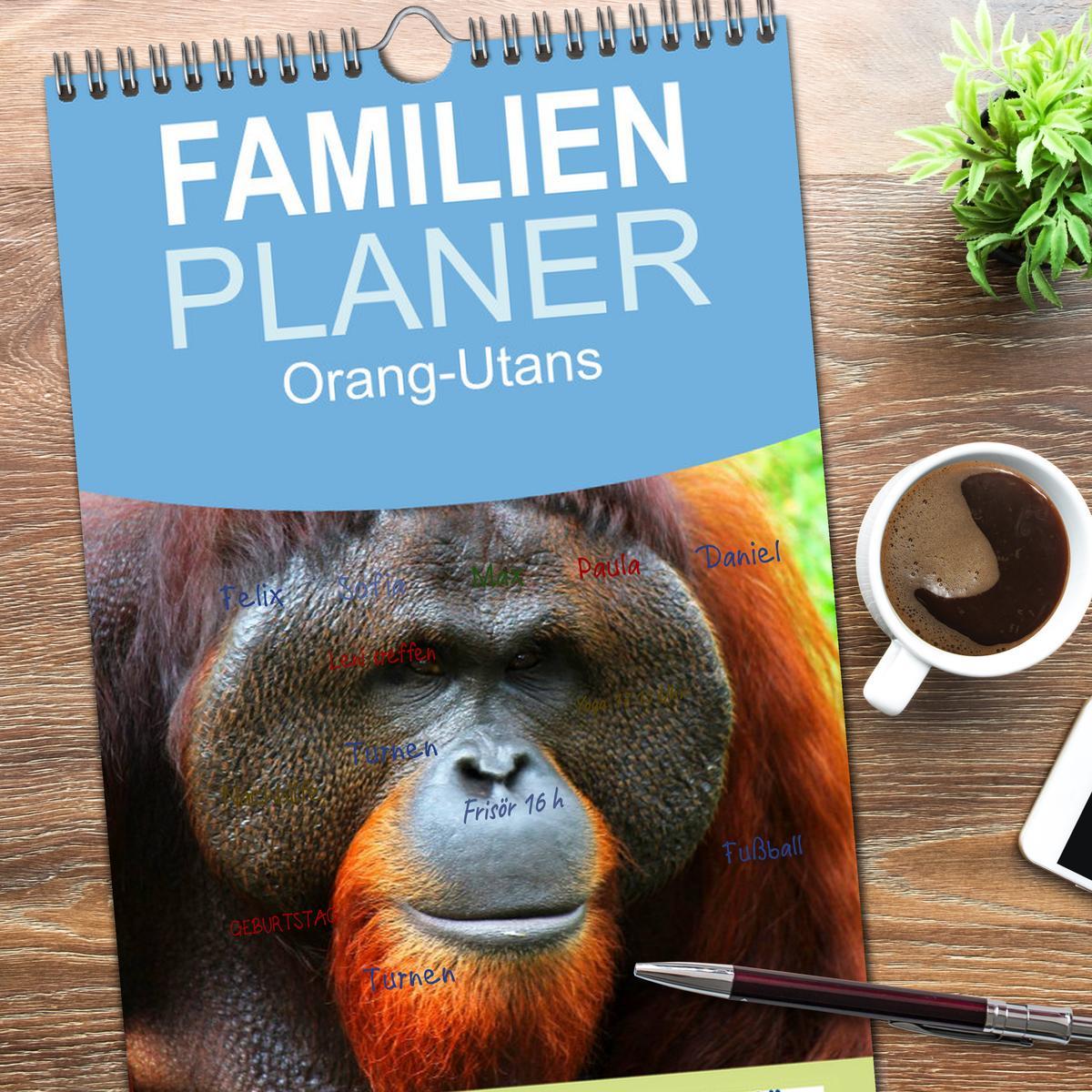 Bild: 9783457126585 | Familienplaner 2025 - Orang-Utans mit 5 Spalten (Wandkalender, 21 x...