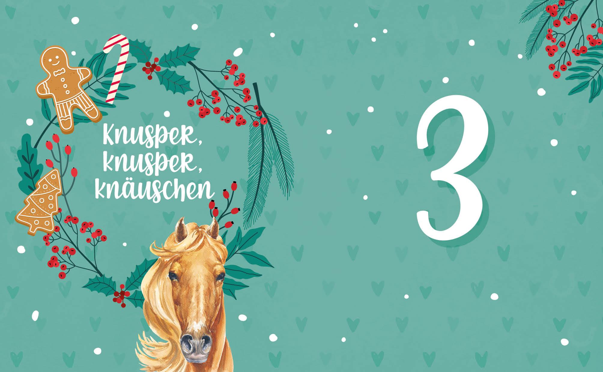 Bild: 9783745912777 | # ponylife - Mein Adventskalenderbuch - Von Lia und Lea | Buch | 2023