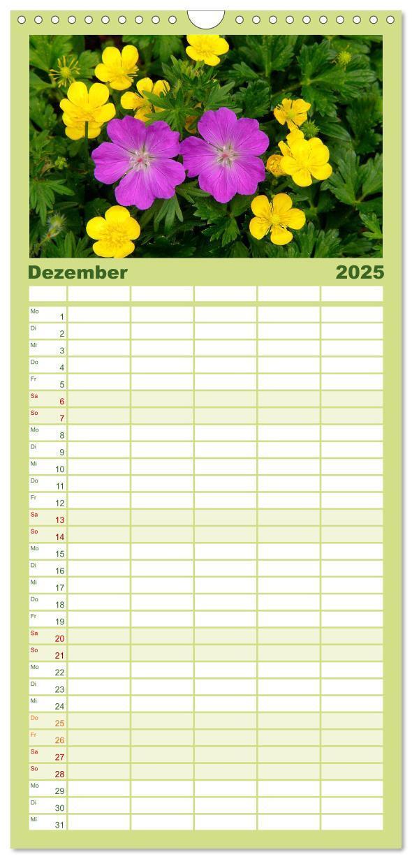 Bild: 9783457120347 | Familienplaner 2025 - Wildblumen 2025 mit 5 Spalten (Wandkalender,...