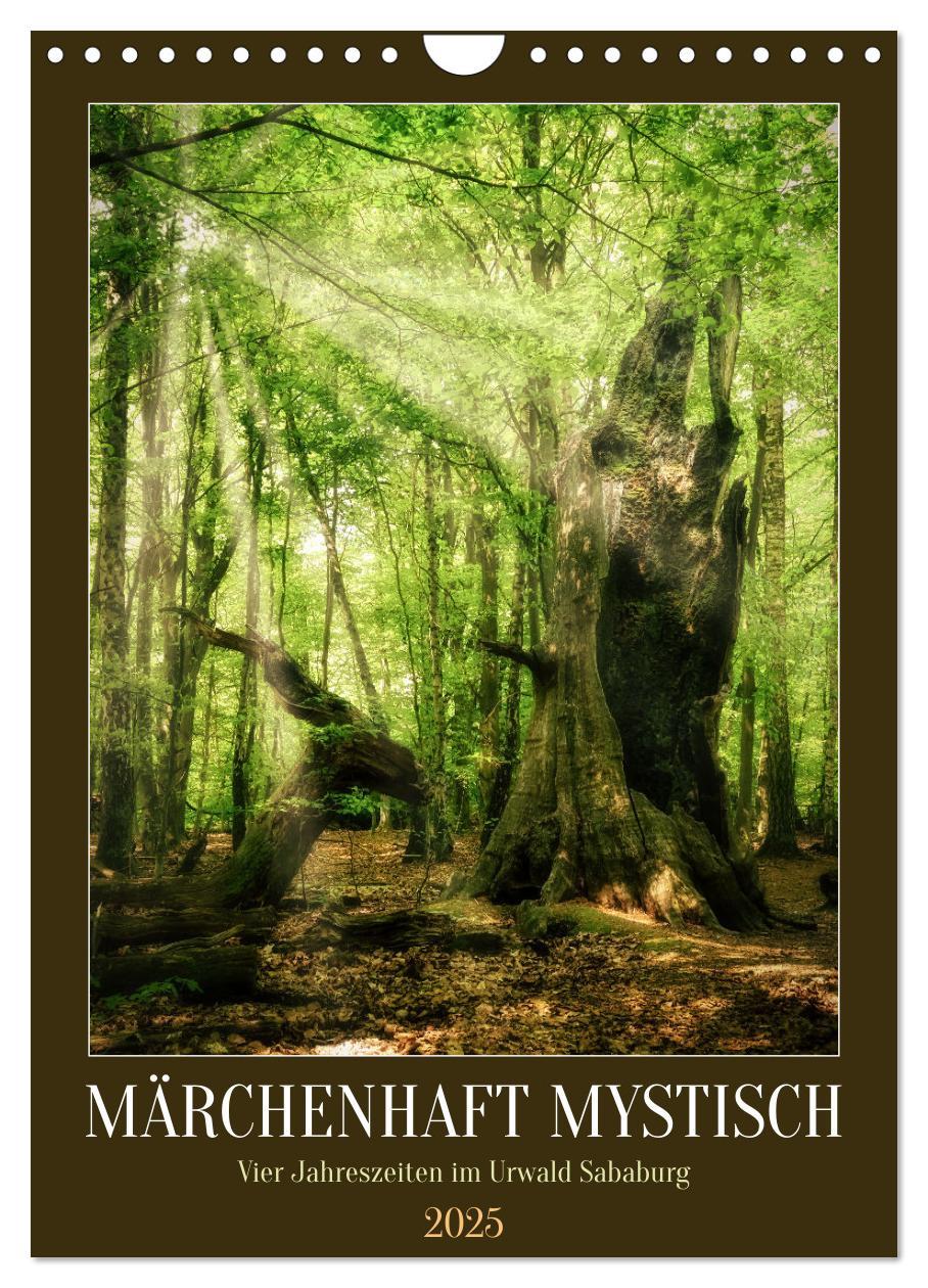 Cover: 9783435865819 | Märchenhaft mystisch (Wandkalender 2025 DIN A4 hoch), CALVENDO...