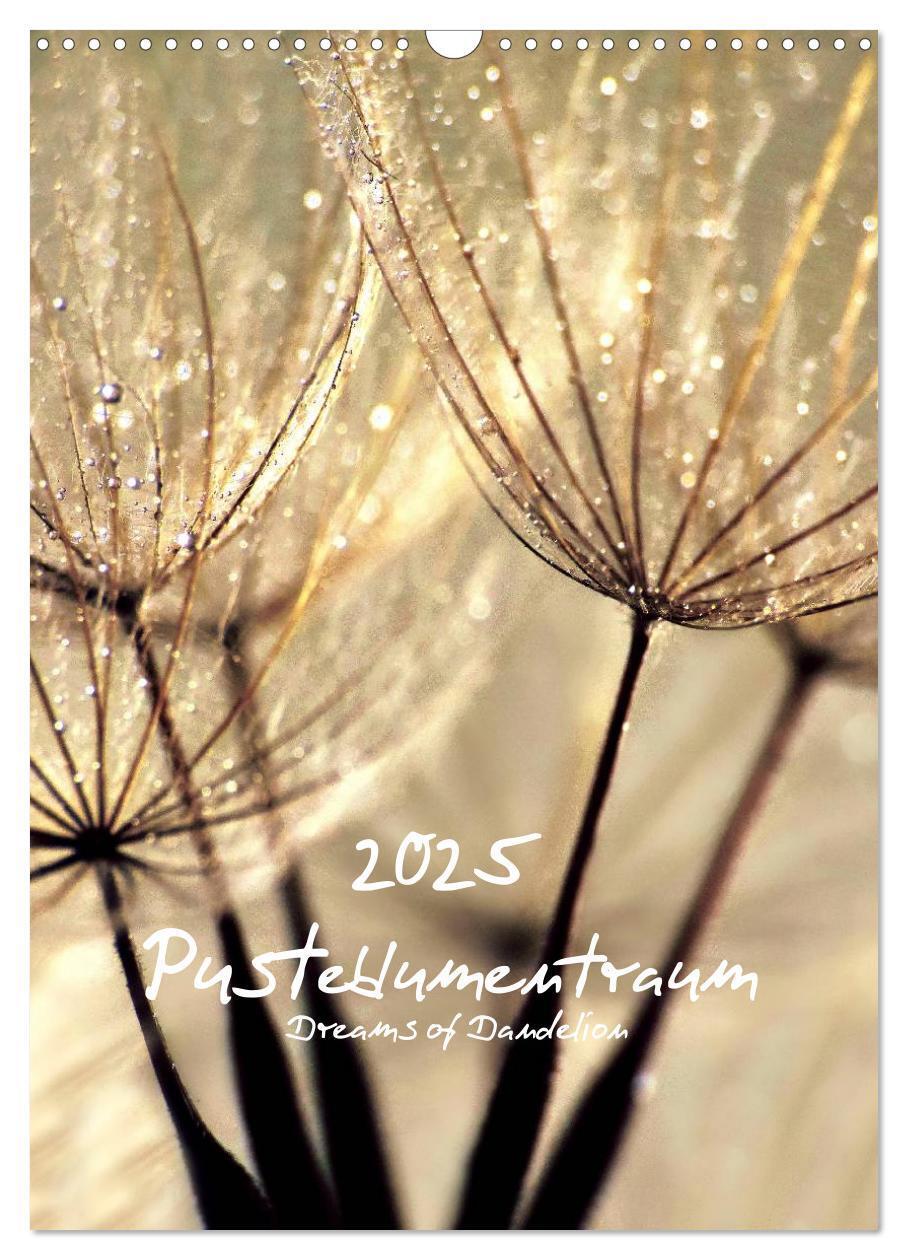 Cover: 9783457068458 | Pusteblumentraum - Dreams of Dandelion (Wandkalender 2025 DIN A3...