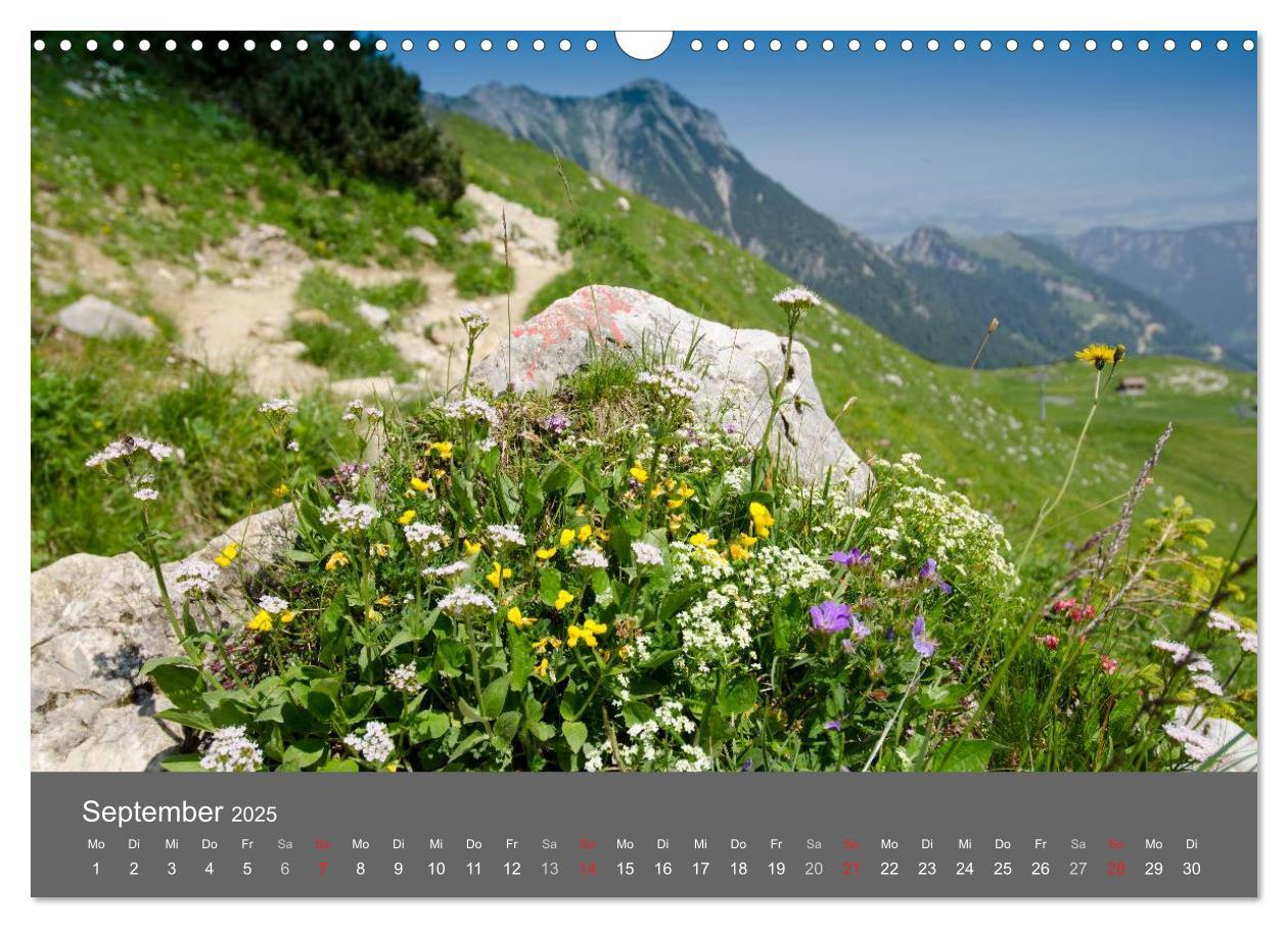 Bild: 9783435728602 | Tannheimer Tal (Wandkalender 2025 DIN A3 quer), CALVENDO...