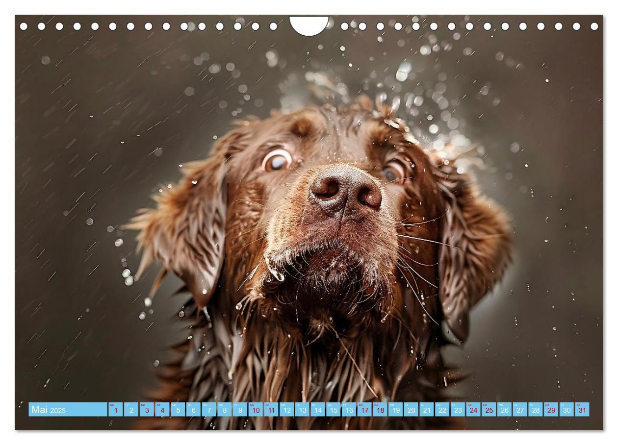 Bild: 9783457129227 | Hunde und Wasser (Wandkalender 2025 DIN A4 quer), CALVENDO...