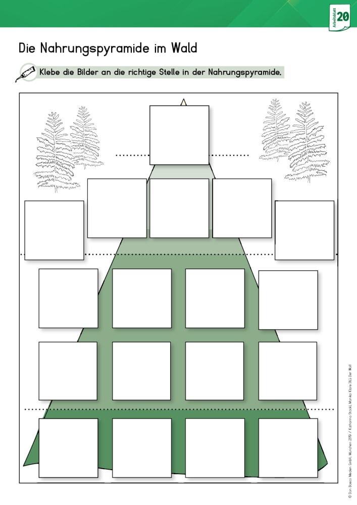 Bild: 9783769824452 | Arbeitsmaterial Grundschule. Sachunterricht. Der Wolf. | Stöckl-Bauer