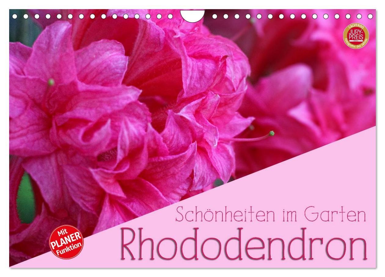 Cover: 9783435492091 | Rhododendron Schönheiten im Garten (Wandkalender 2025 DIN A4 quer),...