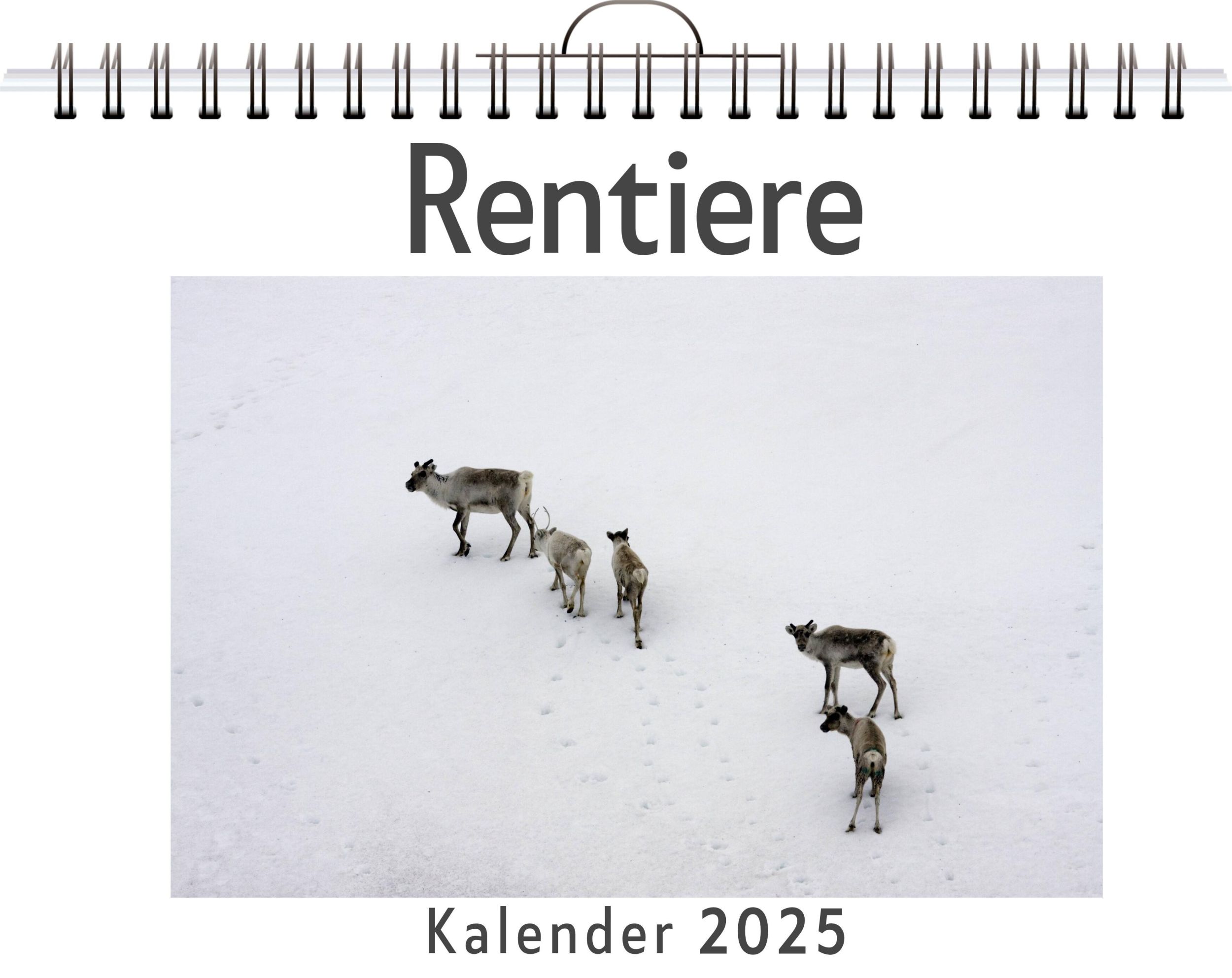 Cover: 9783759128416 | Rentiere | Tim König | Kalender | Kalender | 14 S. | Deutsch