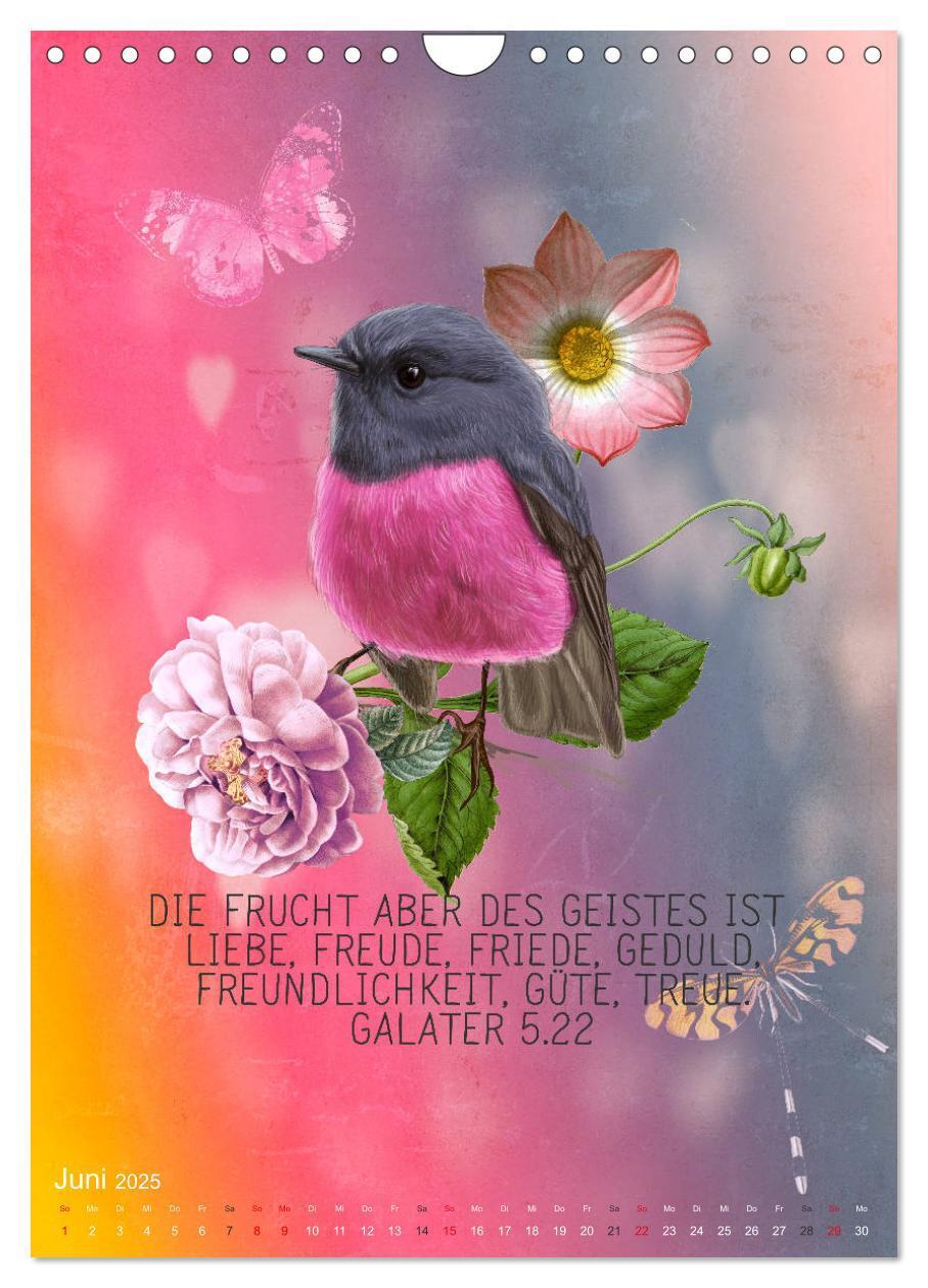 Bild: 9783435962655 | Bibelworte für Vogelfreunde (Wandkalender 2025 DIN A4 hoch),...