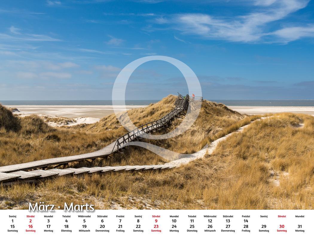 Bild: 9783924422028 | Amrum 2025 | Foto-Kalender | Kalender | Deutsch | 2025 | Quedens, Leif