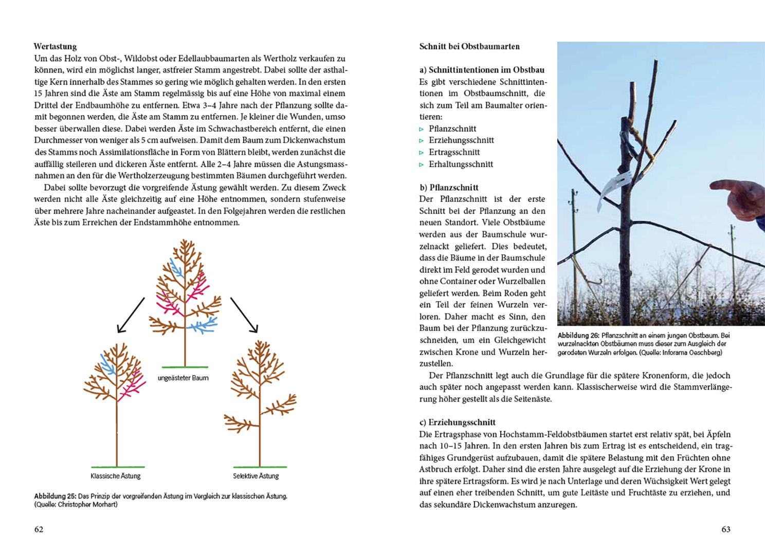 Bild: 9783258083667 | Agroforstpraxis in der Schweiz | Verwurzelt im Wandel | Taschenbuch