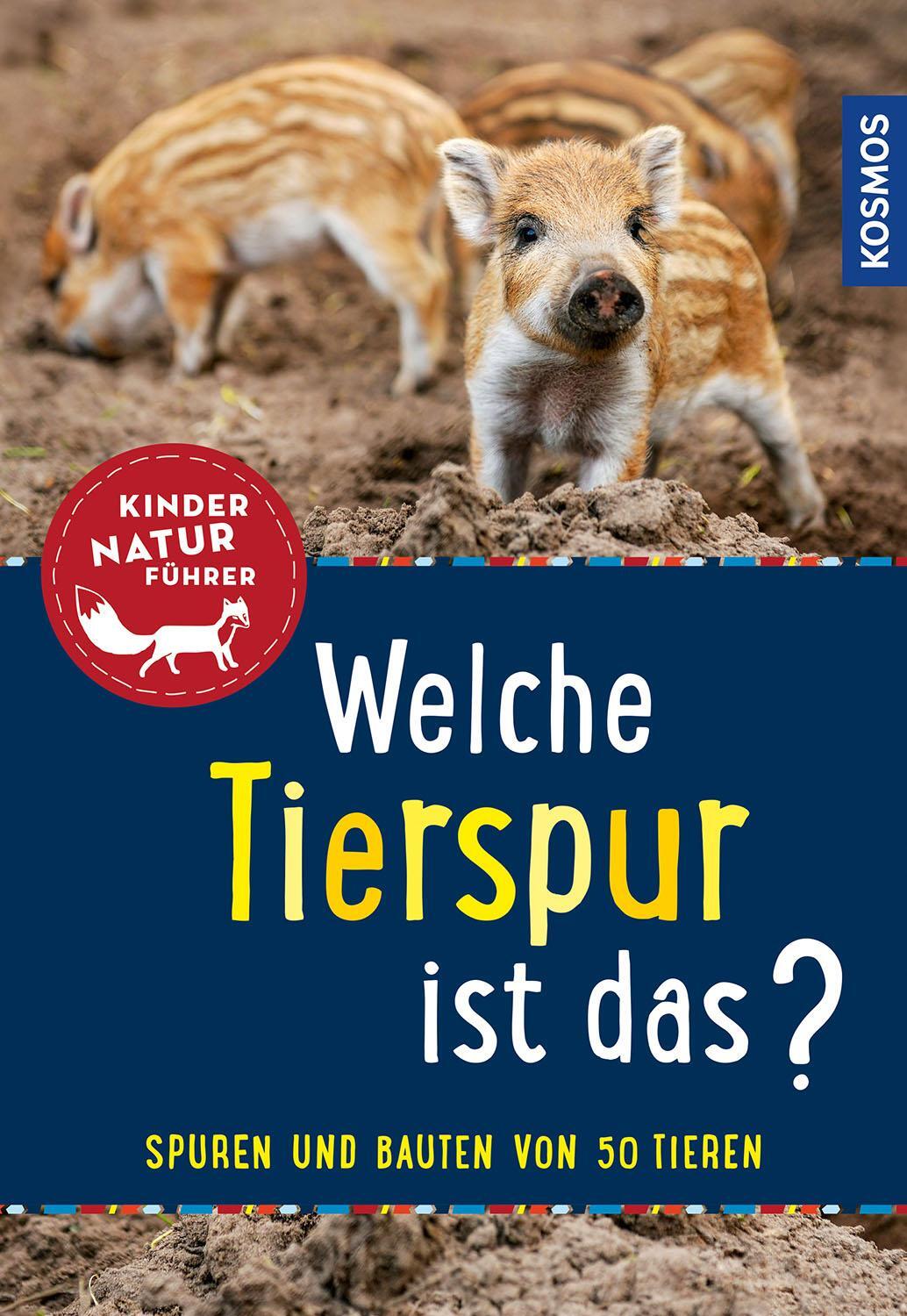 Cover: 9783440167403 | Welche Tierspur ist das? Kindernaturführer | Anna Linstadt | Buch