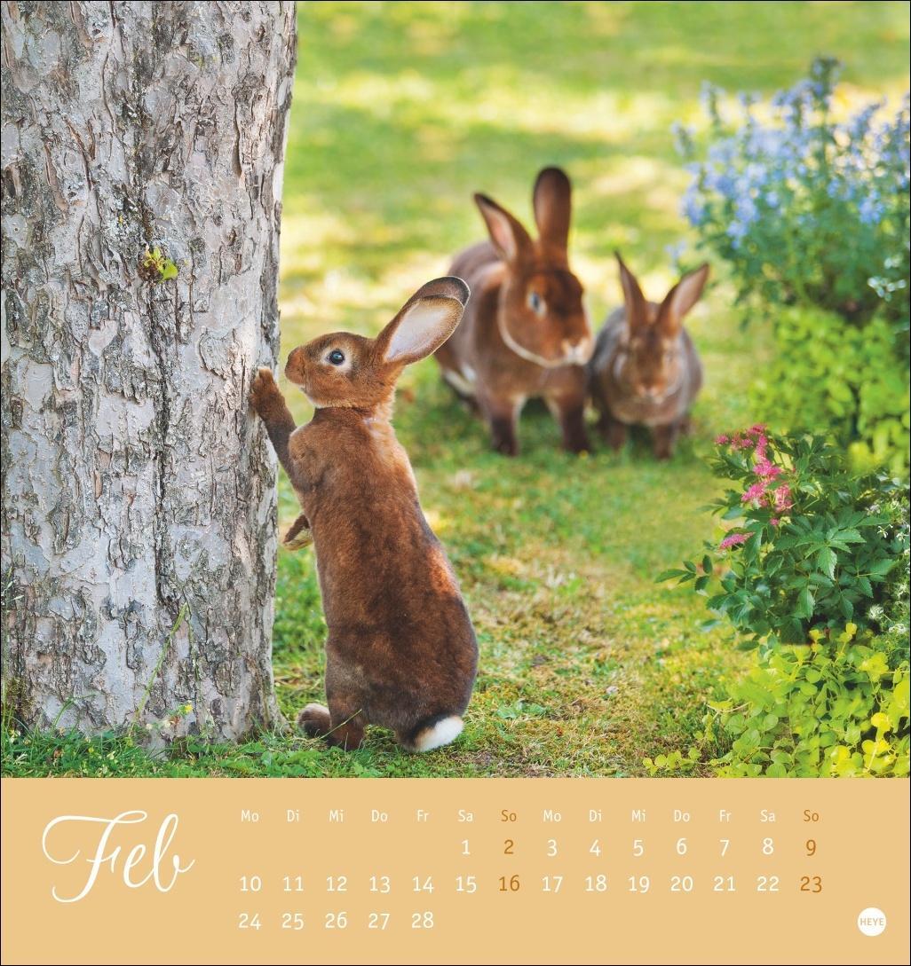 Bild: 9783756407057 | Süße Kaninchen Postkartenkalender 2025 | Kalender | Spiralbindung