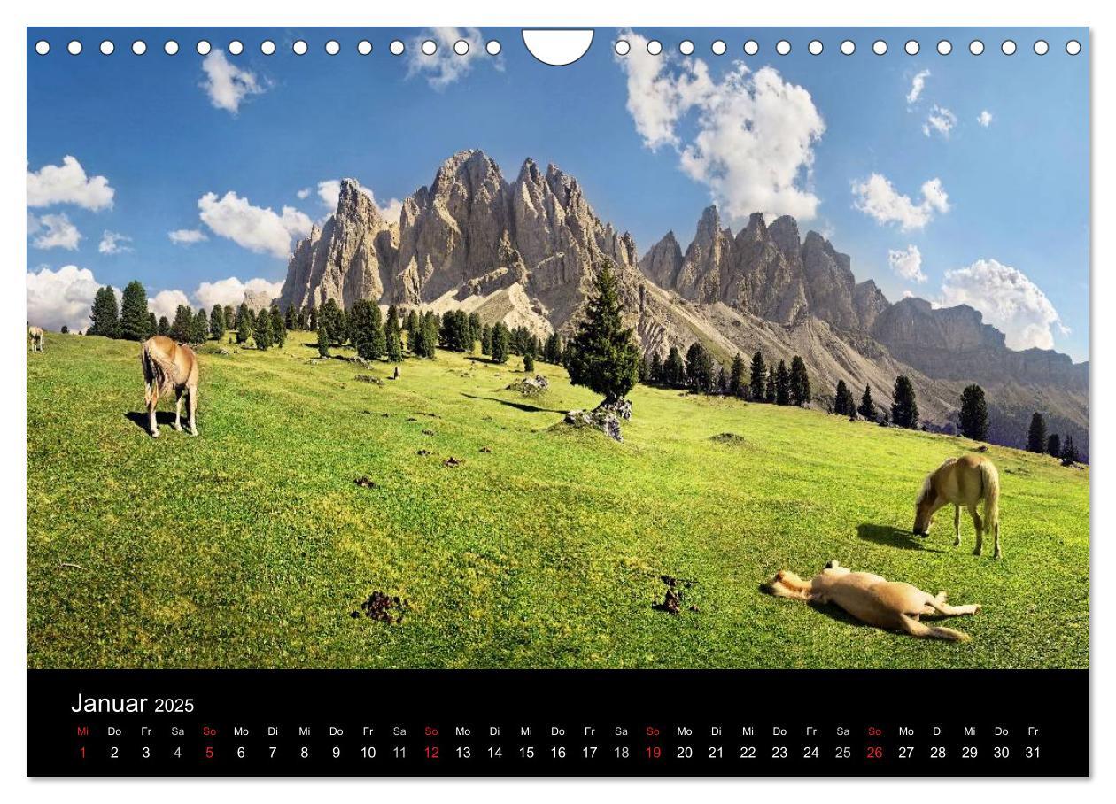 Bild: 9783435565139 | Wunderschöne Haflingerwelt (Wandkalender 2025 DIN A4 quer),...