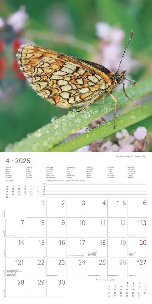 Bild: 4251732340803 | Alpha Edition - Wald &amp; Flur 2025 Broschürenkalender, 30x30cm,...