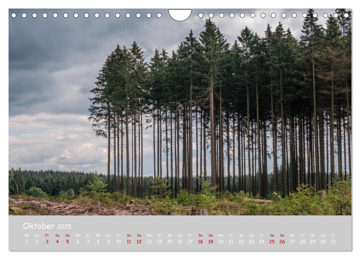 Bild: 9783435032051 | Harzer Impressionen (Wandkalender 2025 DIN A4 quer), CALVENDO...