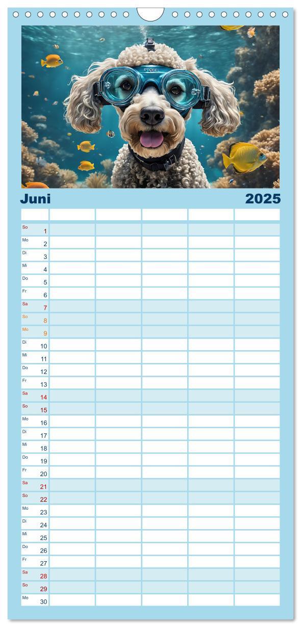 Bild: 9783457090909 | Familienplaner 2025 - Hunde abgetaucht mit 5 Spalten (Wandkalender,...