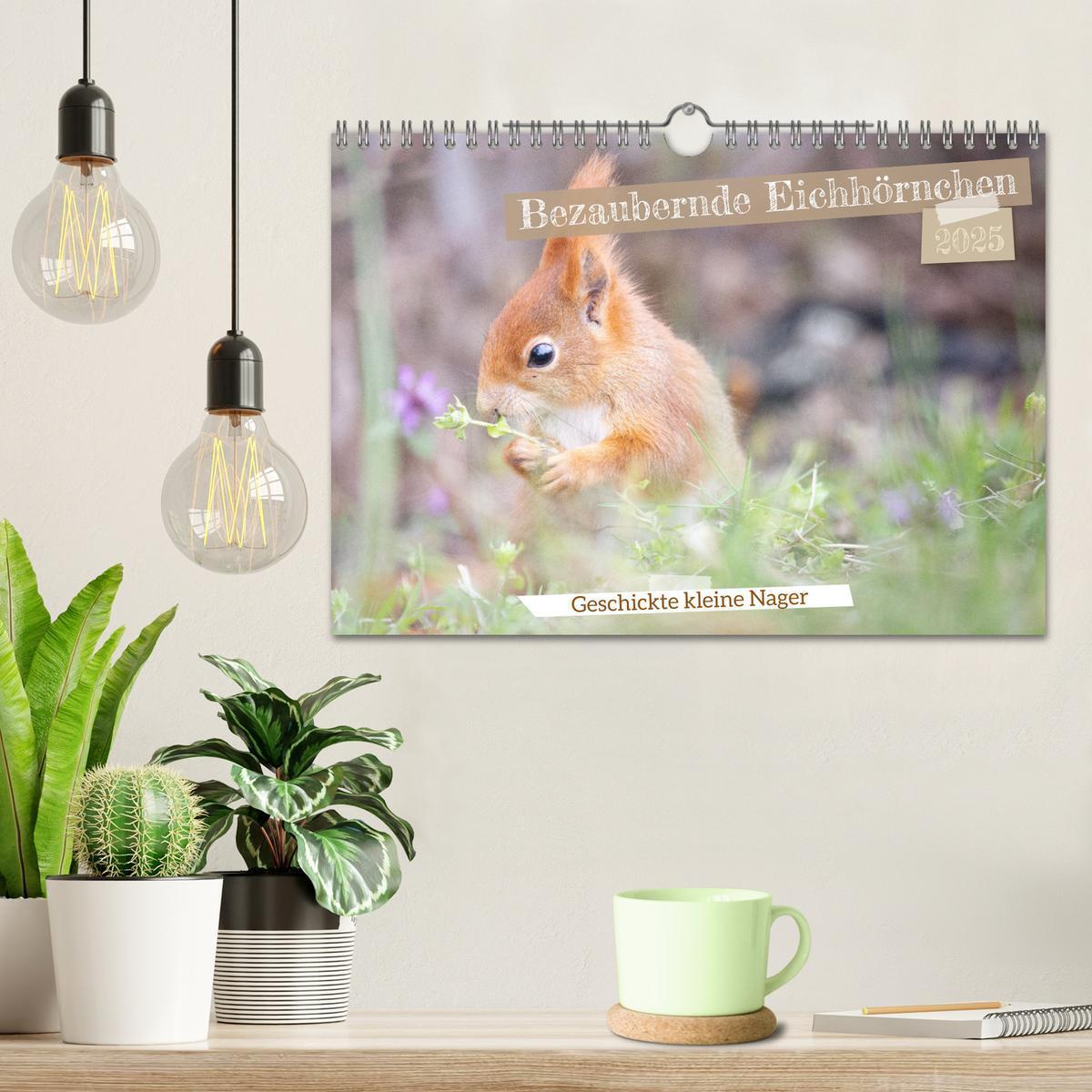 Bild: 9783457177471 | Bezaubernde Eichhörnchen (Wandkalender 2025 DIN A4 quer), CALVENDO...