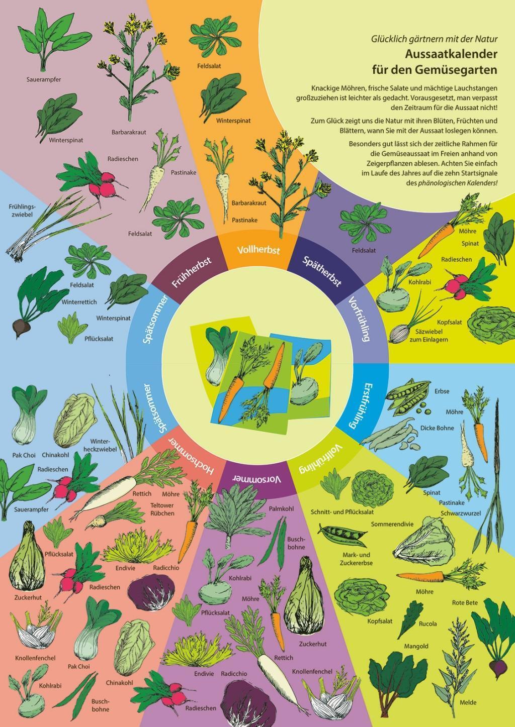 Bild: 9783000643941 | Phänologischer Gartenkalender | Besser gärtnern im Rhythmus der Natur