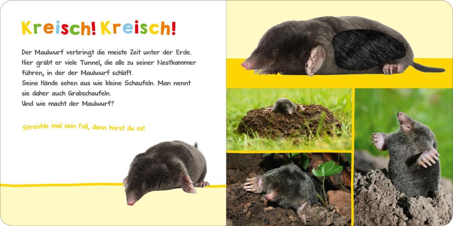 Bild: 9783845835006 | Hör mal rein, wer kann das sein? - Im Garten | Streicheln und hören