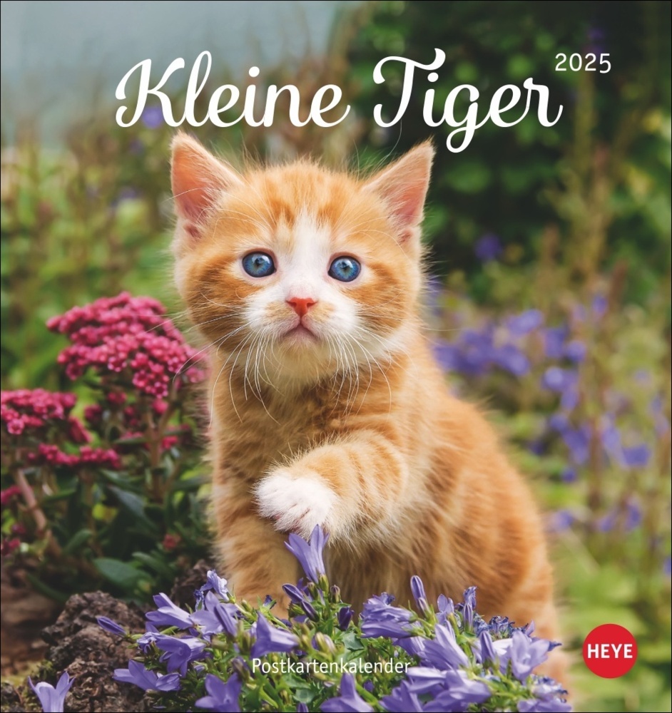 Cover: 9783756407026 | Katzen Postkartenkalender Kleine Tiger 2025 | Kalender | Spiralbindung