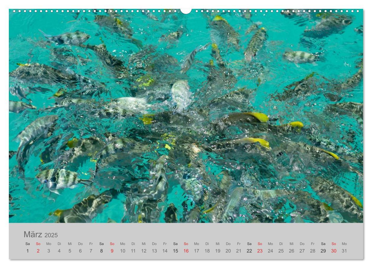 Bild: 9783435543601 | Lichtblicke - Seychellen (Wandkalender 2025 DIN A2 quer), CALVENDO...