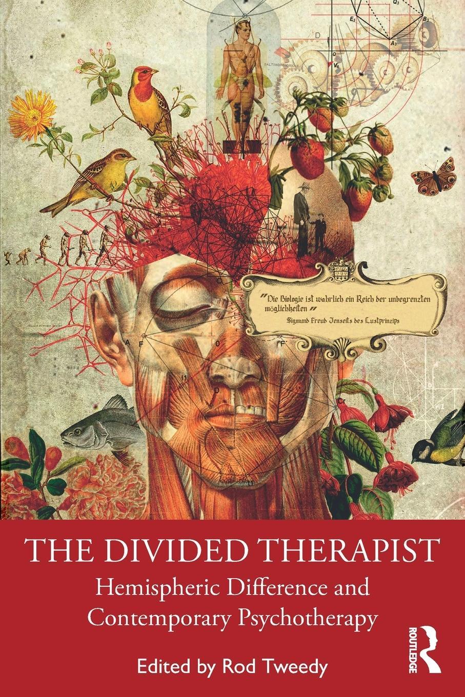 Cover: 9780367504427 | The Divided Therapist | Rod Tweedy | Taschenbuch | Paperback | 2020