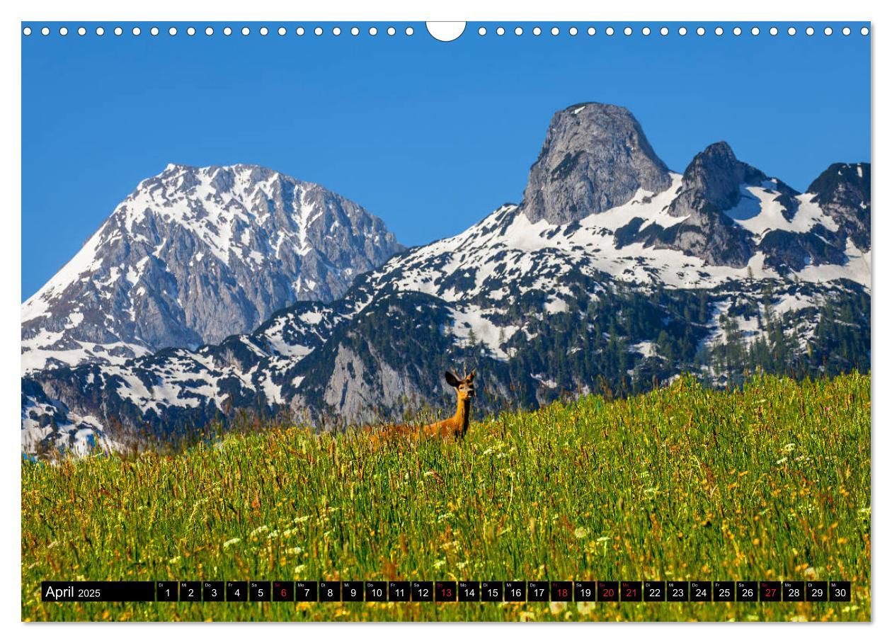 Bild: 9783435176397 | Abtenau im Lammertal (Wandkalender 2025 DIN A3 quer), CALVENDO...