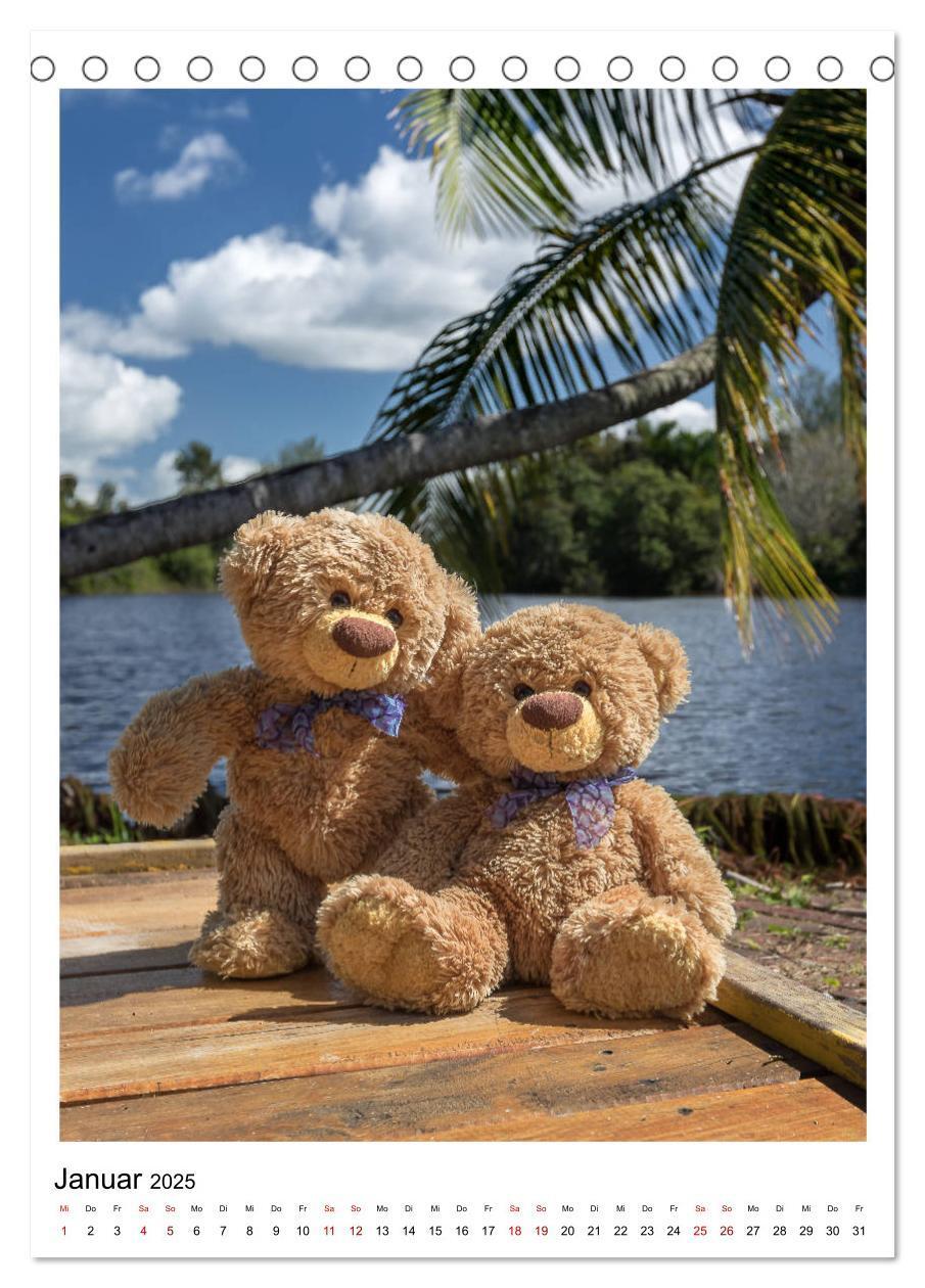 Bild: 9783435984435 | Travelling Teddy Kuba Edition 2025 (Tischkalender 2025 DIN A5...