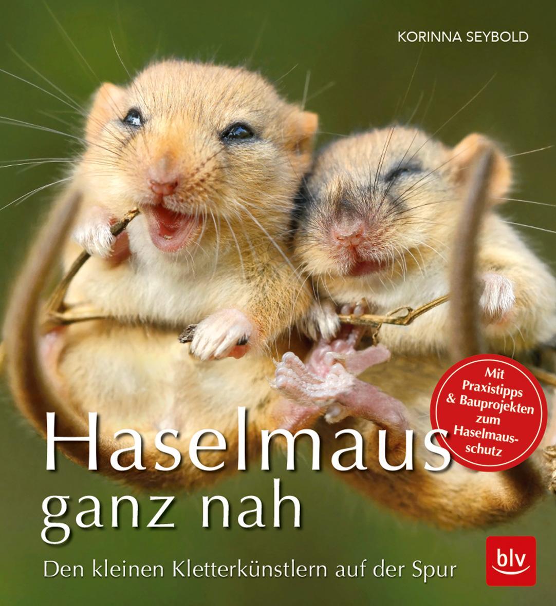 Cover: 9783835417885 | Haselmaus ganz nah | Den kleinen Kletterkünstlern auf der Spur | Buch