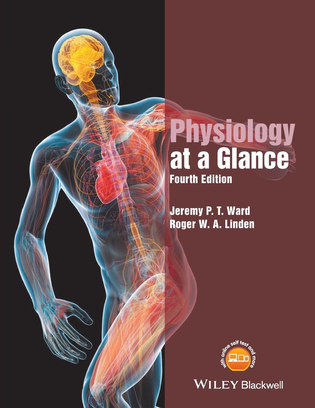 Cover: 9781119247272 | Physiology at a Glance | At a Glance | Ward | Taschenbuch | 168 S.