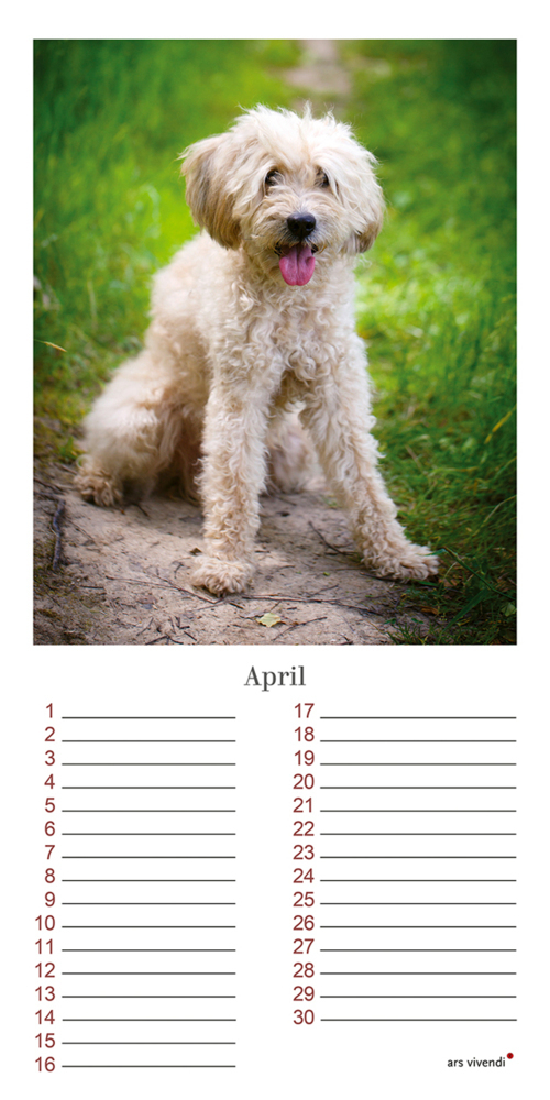 Bild: 9783747203965 | Geburtstagskalender Hunde | Immerwährender Kalender | Verlag | 12 S.