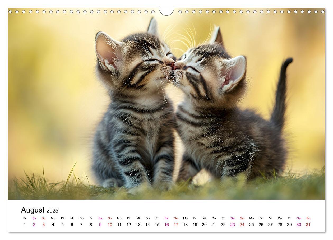 Bild: 9783457218280 | Katzenzauber - Samtpfoten im Jahreslauf (Wandkalender 2025 DIN A3...