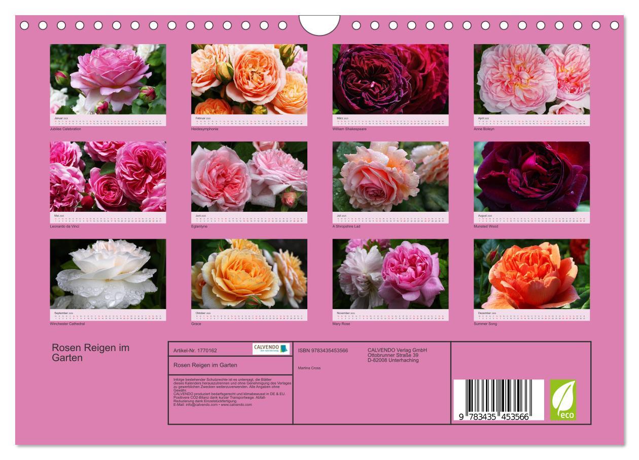 Bild: 9783435453566 | Rosen Reigen im Garten (Wandkalender 2025 DIN A4 quer), CALVENDO...