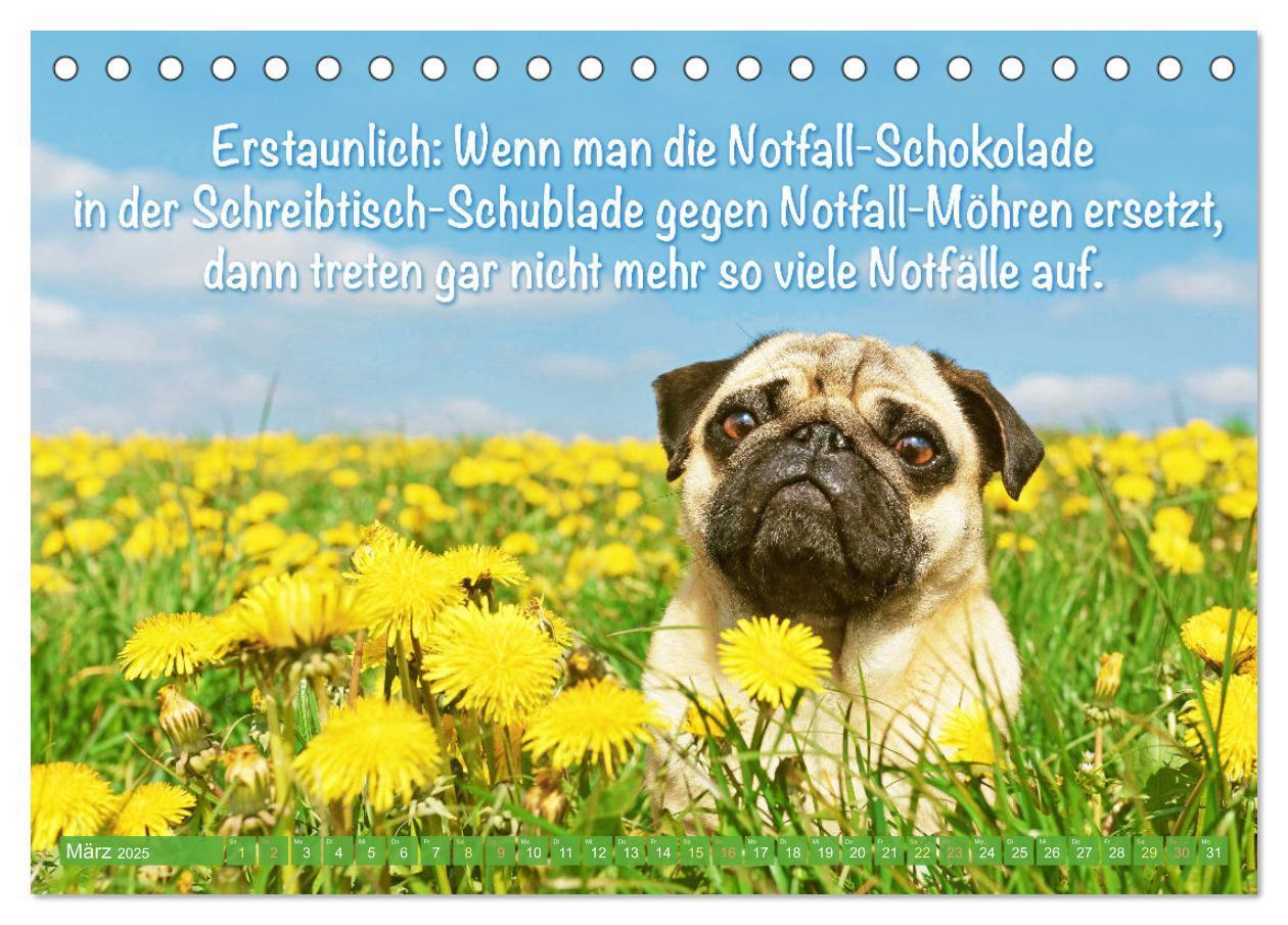 Bild: 9783435070787 | Der Mops: Nicht klein, sondern aufs Wesentliche reduziert. Edition...