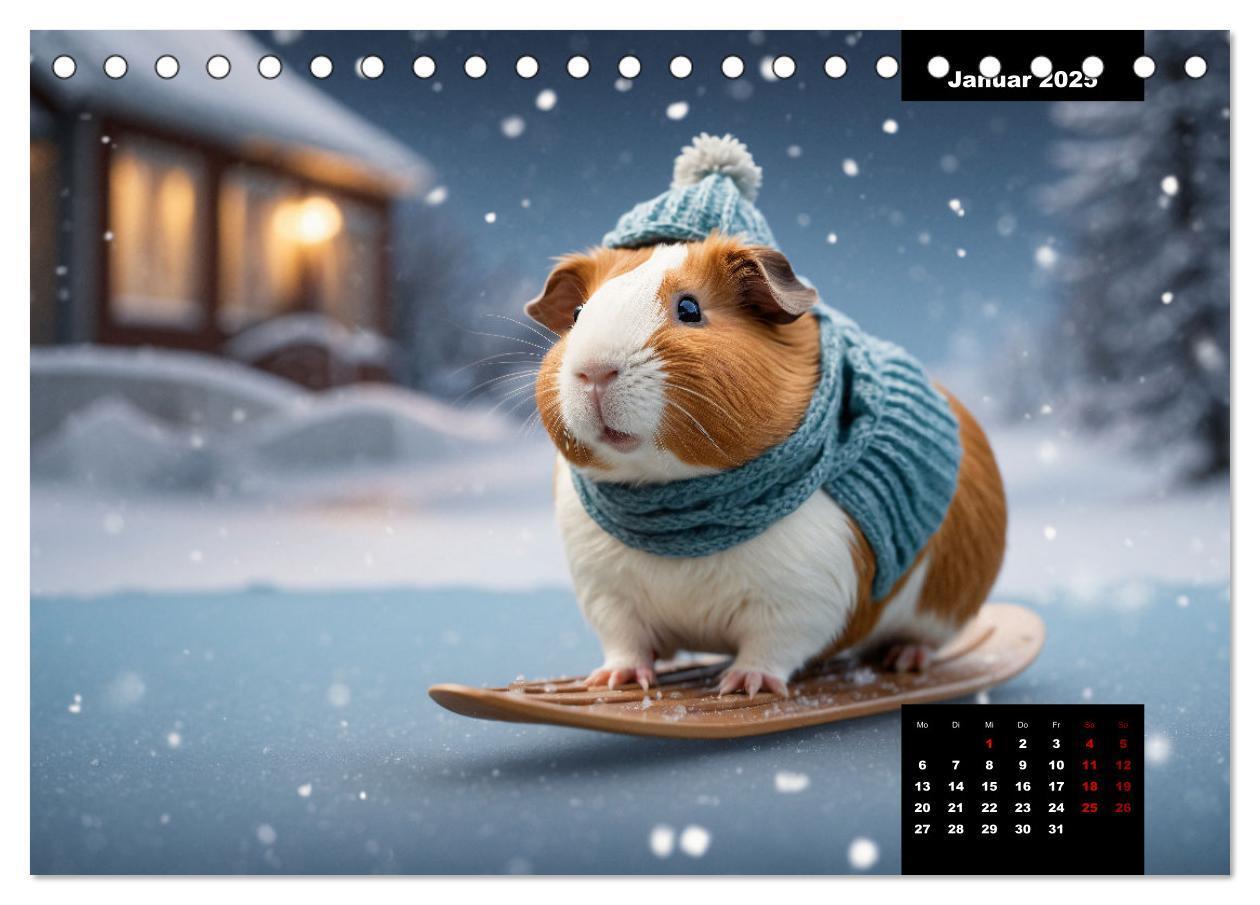 Bild: 9783435013135 | Meerschweinchen mal anders! (Tischkalender 2025 DIN A5 quer),...