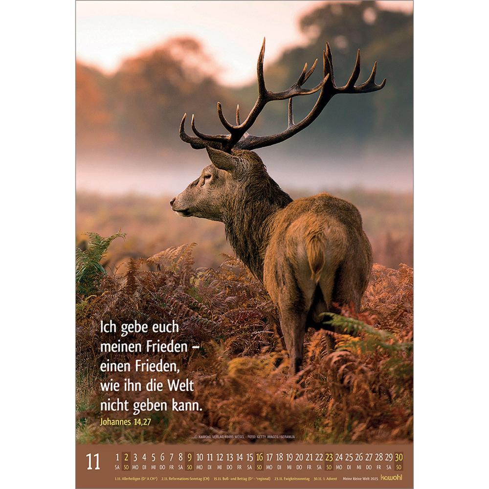 Bild: 9783754845059 | Meine kleine Welt 2025 | Tierkalender mit Bibelworten | Kalender