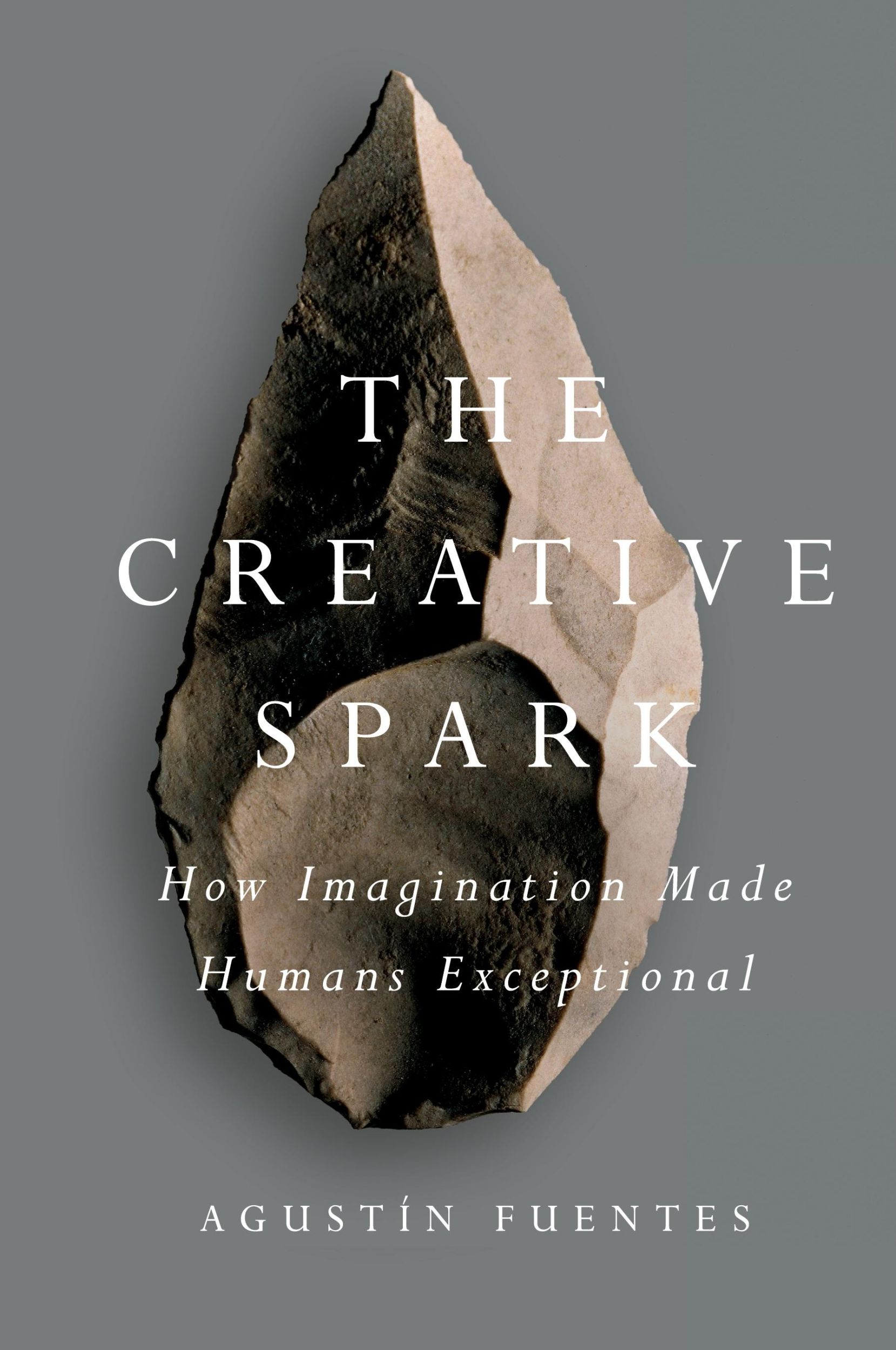 Cover: 9781101983942 | The Creative Spark | How Imagination Made Humans Exceptional | Fuentes