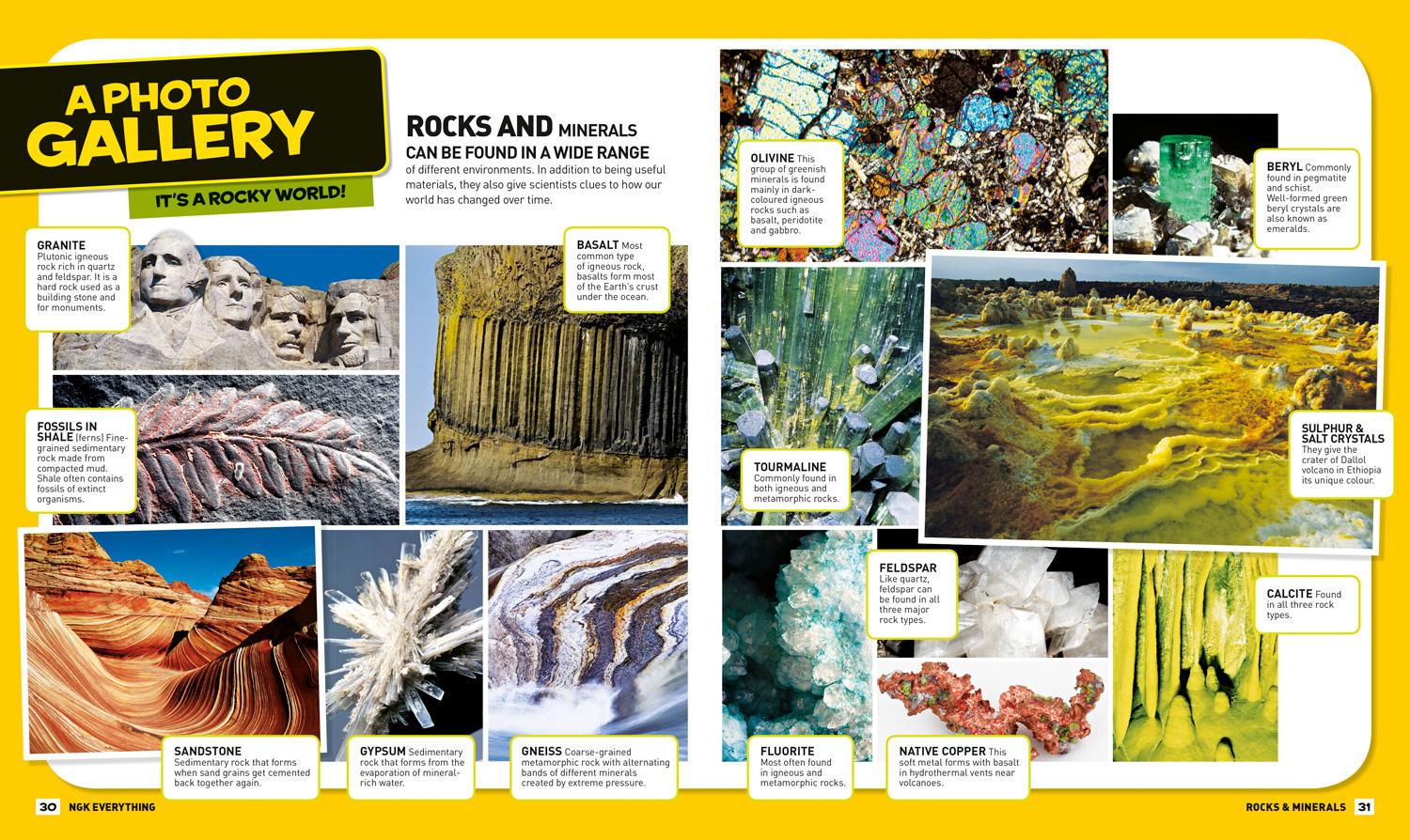 Bild: 9780008267834 | Everything: Rocks and Minerals | National Geographic Kids | Buch