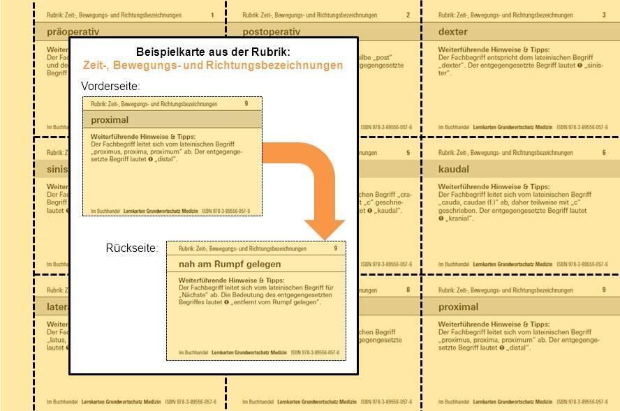 Bild: 9783895560576 | Lernkarten Grundwortschatz Medizin - 324 Karteikarten zum Einstieg...